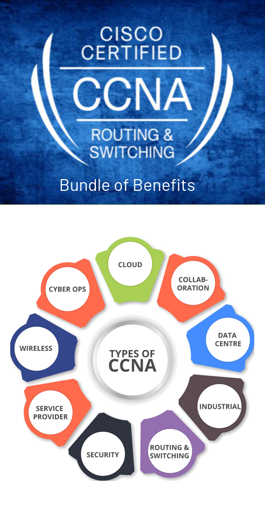 Web Custom Development