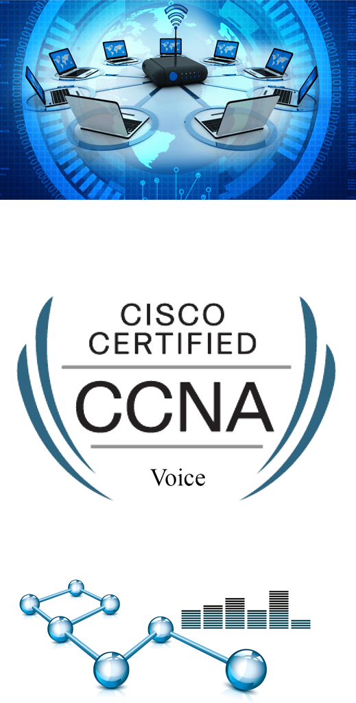 Web Custom Development