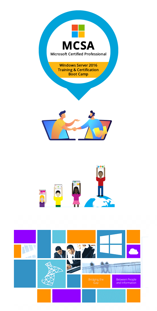 Web Custom Development