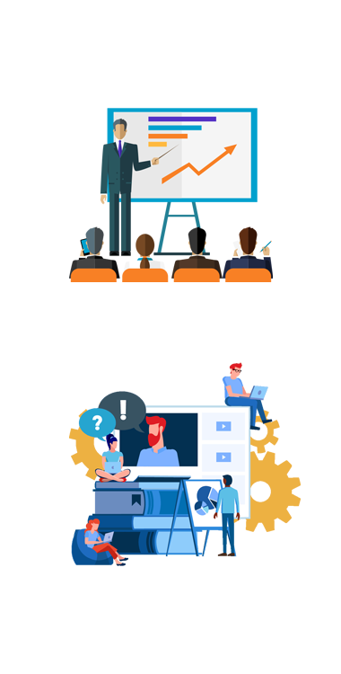 Web Custom Development